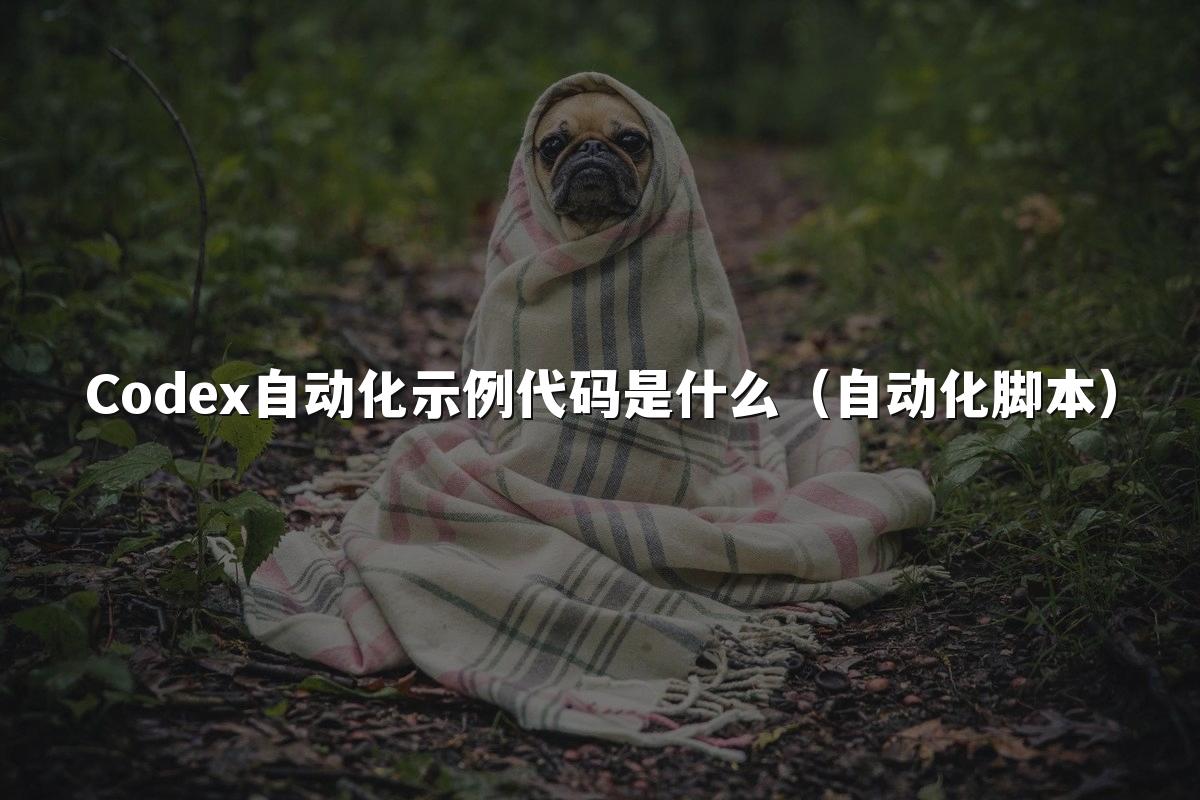 Codex自动化示例代码是什么(自动化脚本)