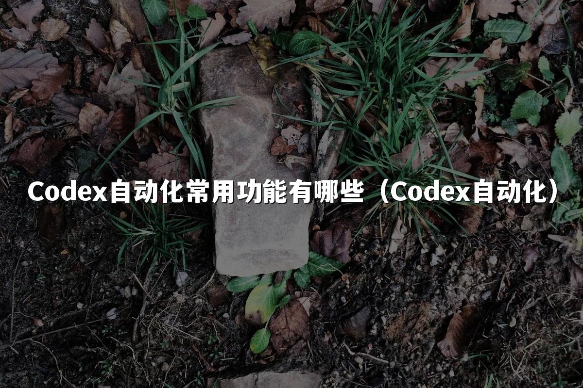 Codex自动化常用功能有哪些（Codex自动化）