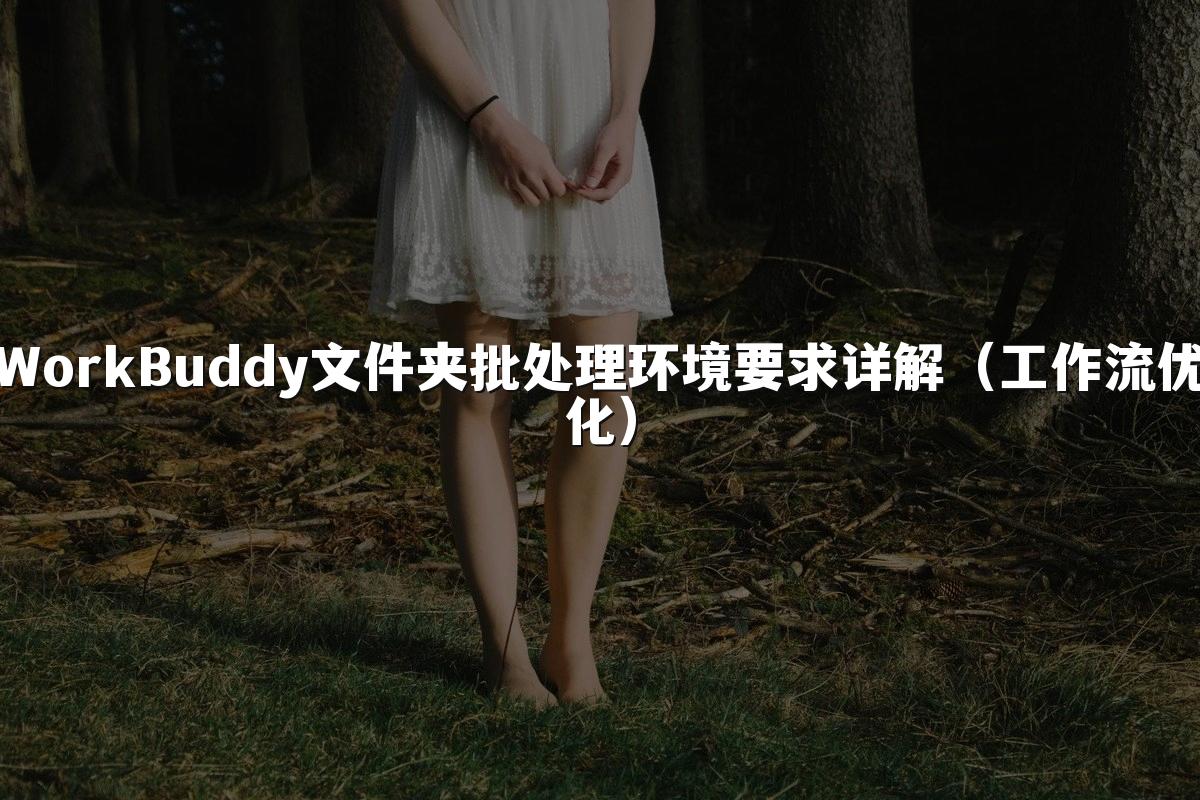 WorkBuddy文件夹批处理环境要求详解(工作流优化)
