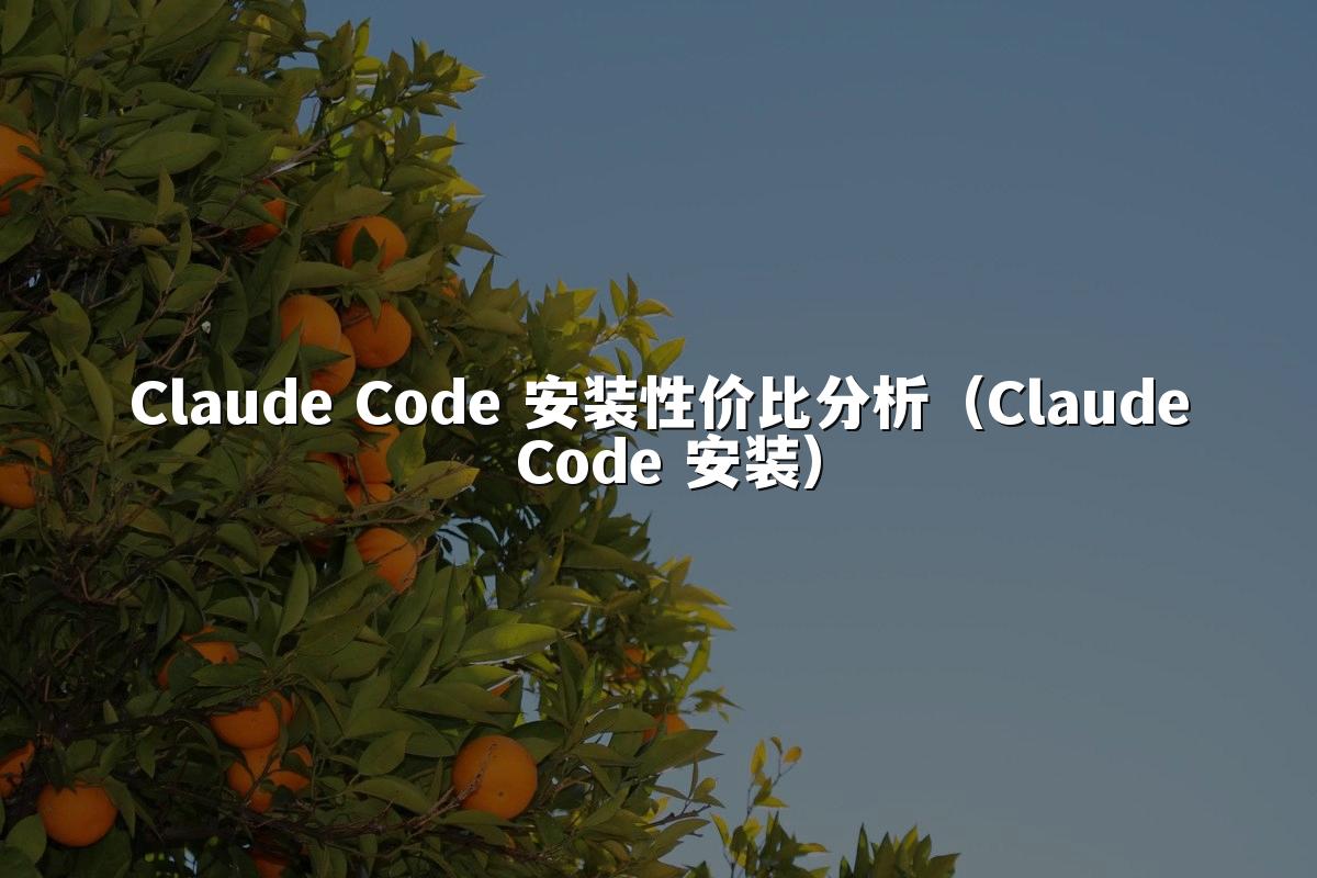 Claude Code 安装性价比分析（Claude Code 安装）