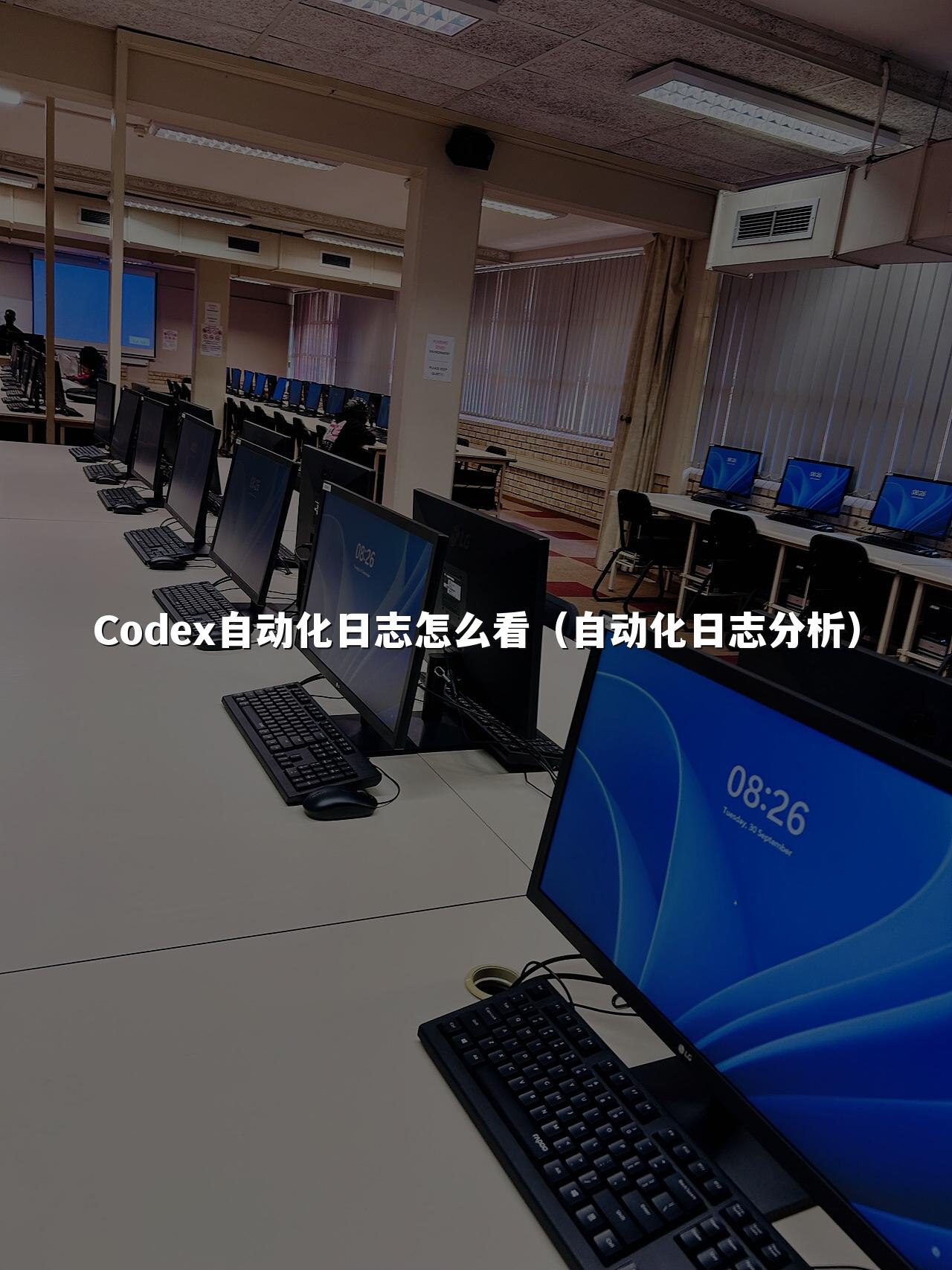 Codex自动化日志怎么看（自动化日志分析）
