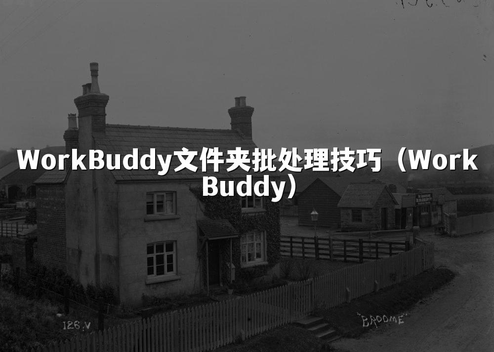 WorkBuddy文件夹批处理技巧(WorkBuddy)