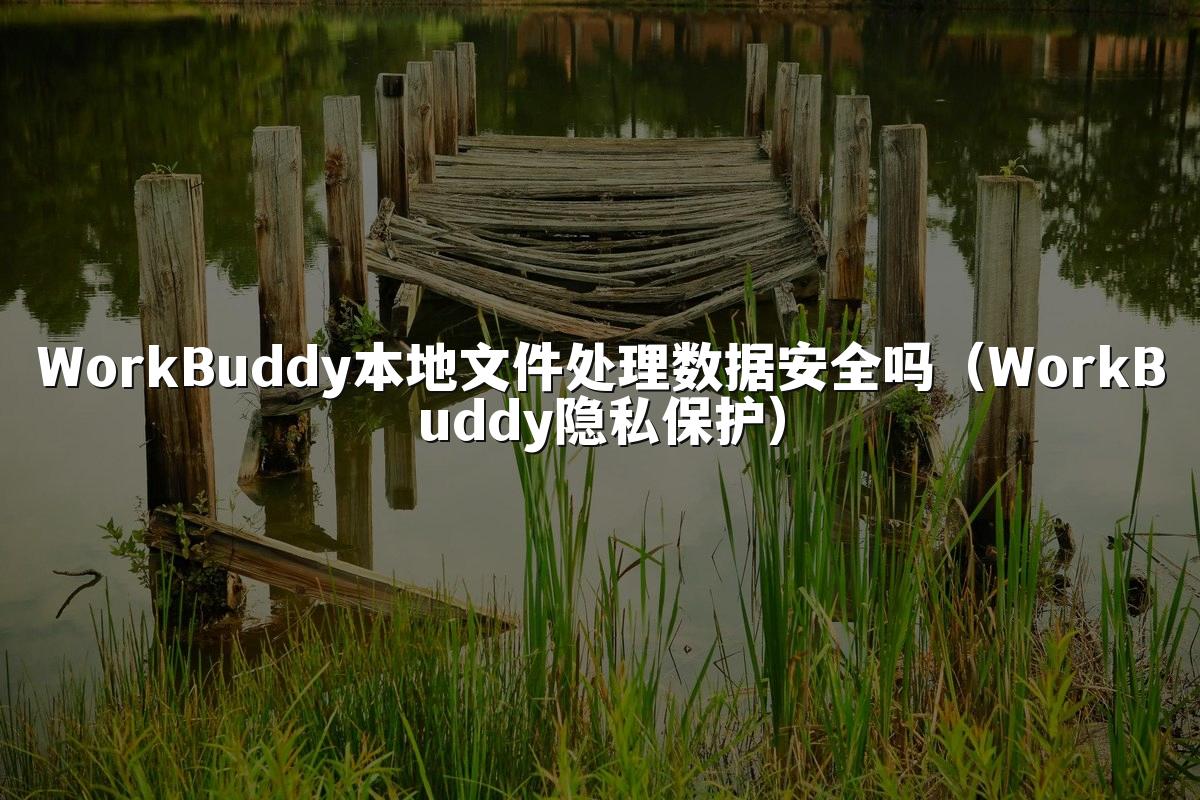 WorkBuddy本地文件处理数据安全吗(WorkBuddy隐私保护)