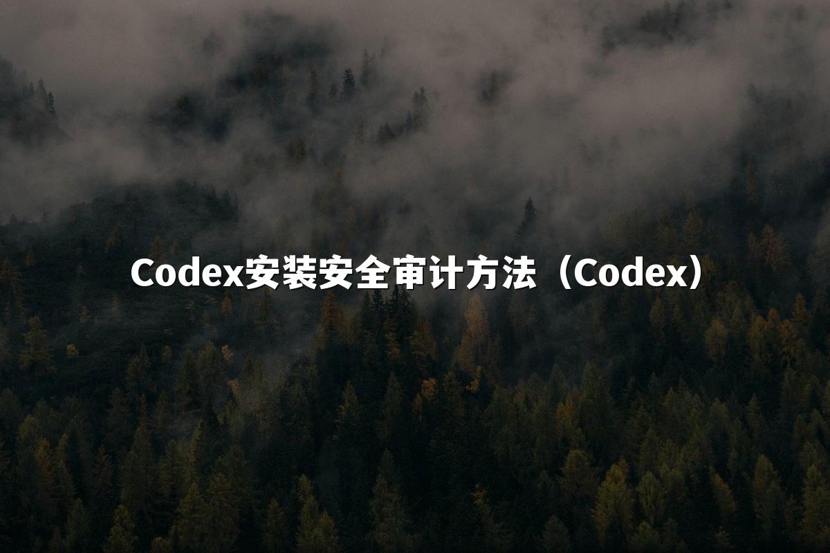 Codex安装安全审计方法(Codex)