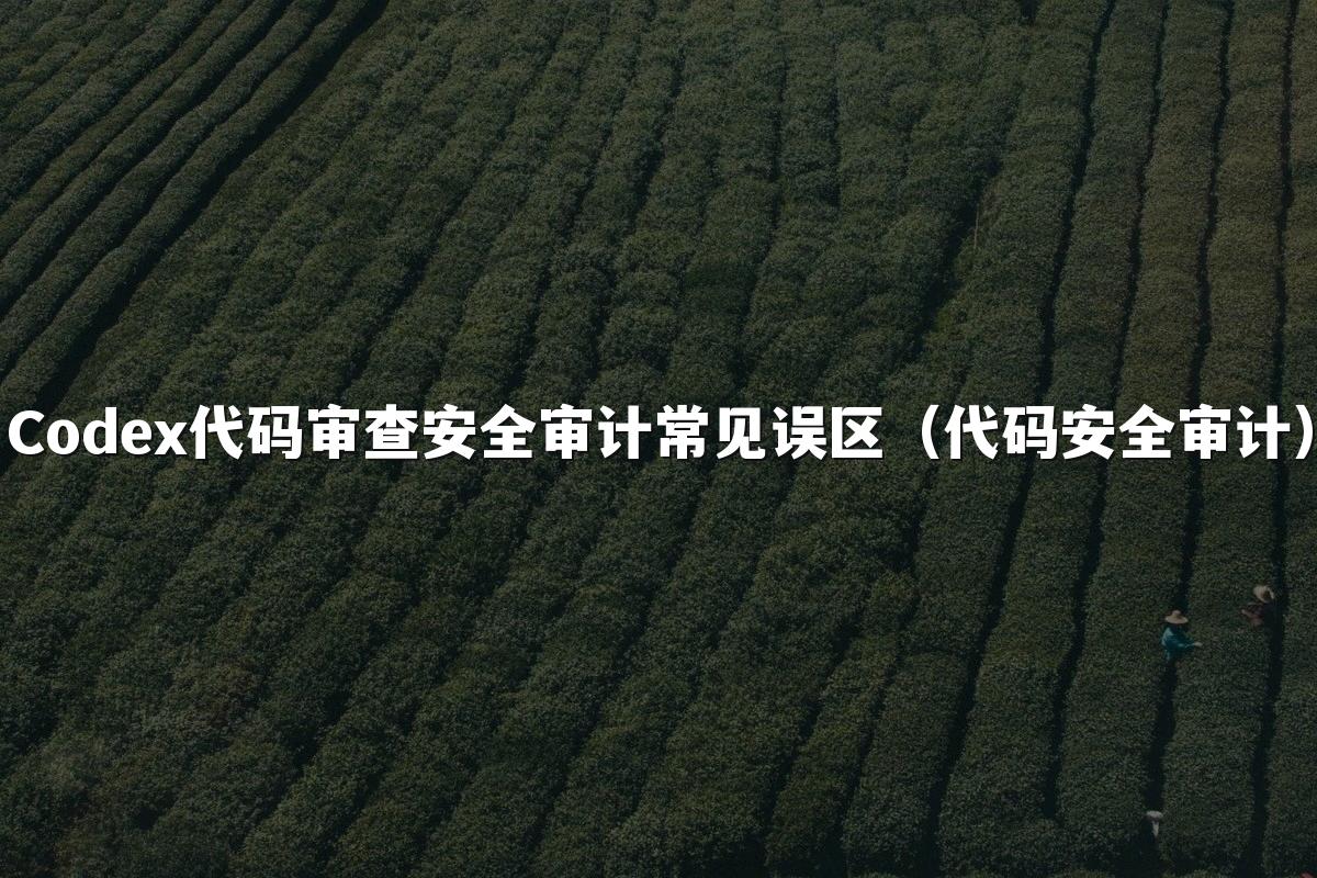 Codex代码审查安全审计常见误区（代码安全审计）