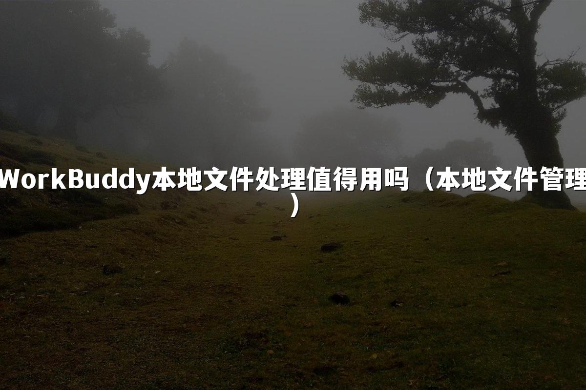 WorkBuddy本地文件处理值得用吗(本地文件管理)