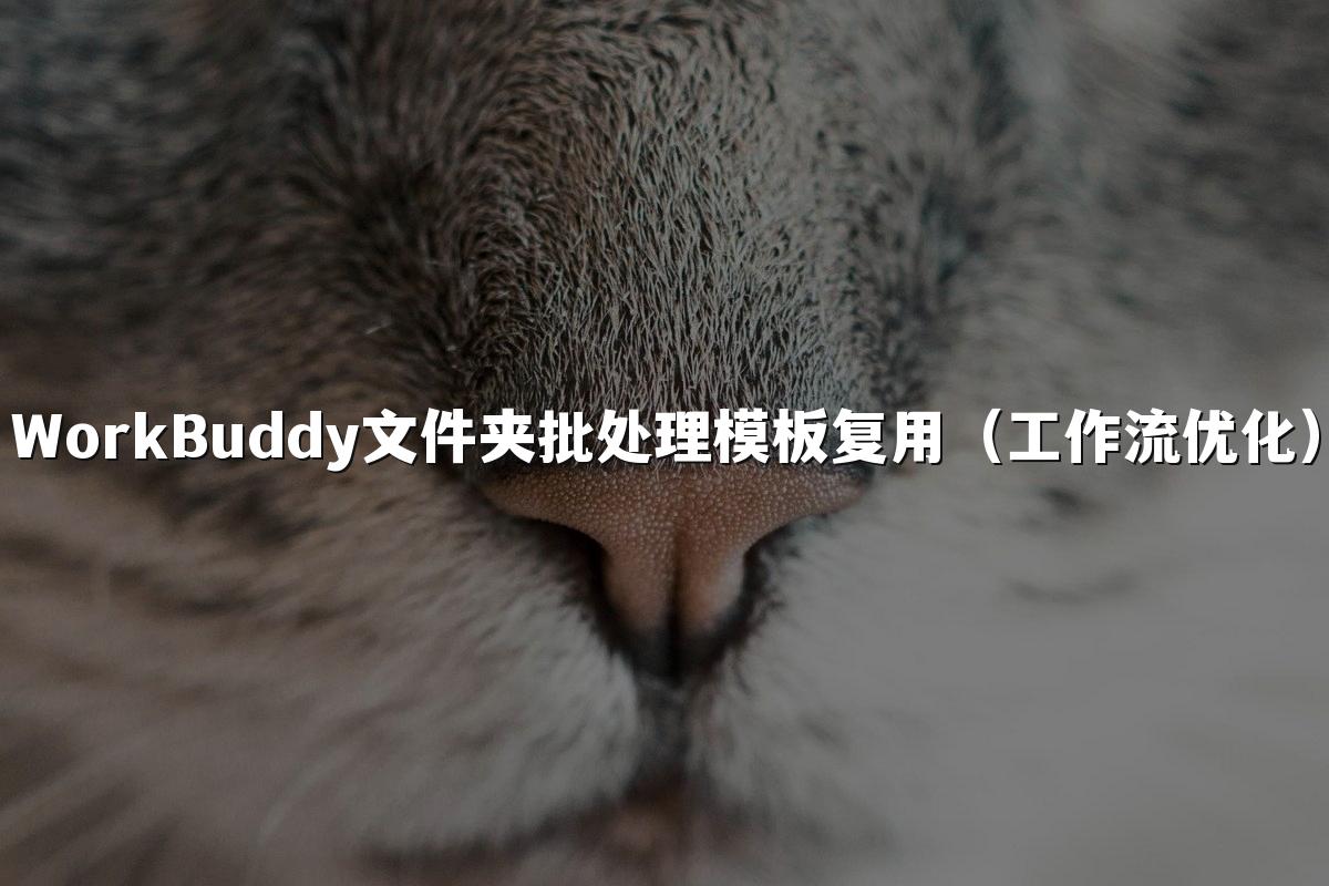 WorkBuddy文件夹批处理模板复用(工作流优化)