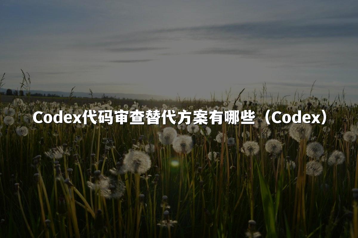 Codex代码审查替代方案有哪些（Codex）