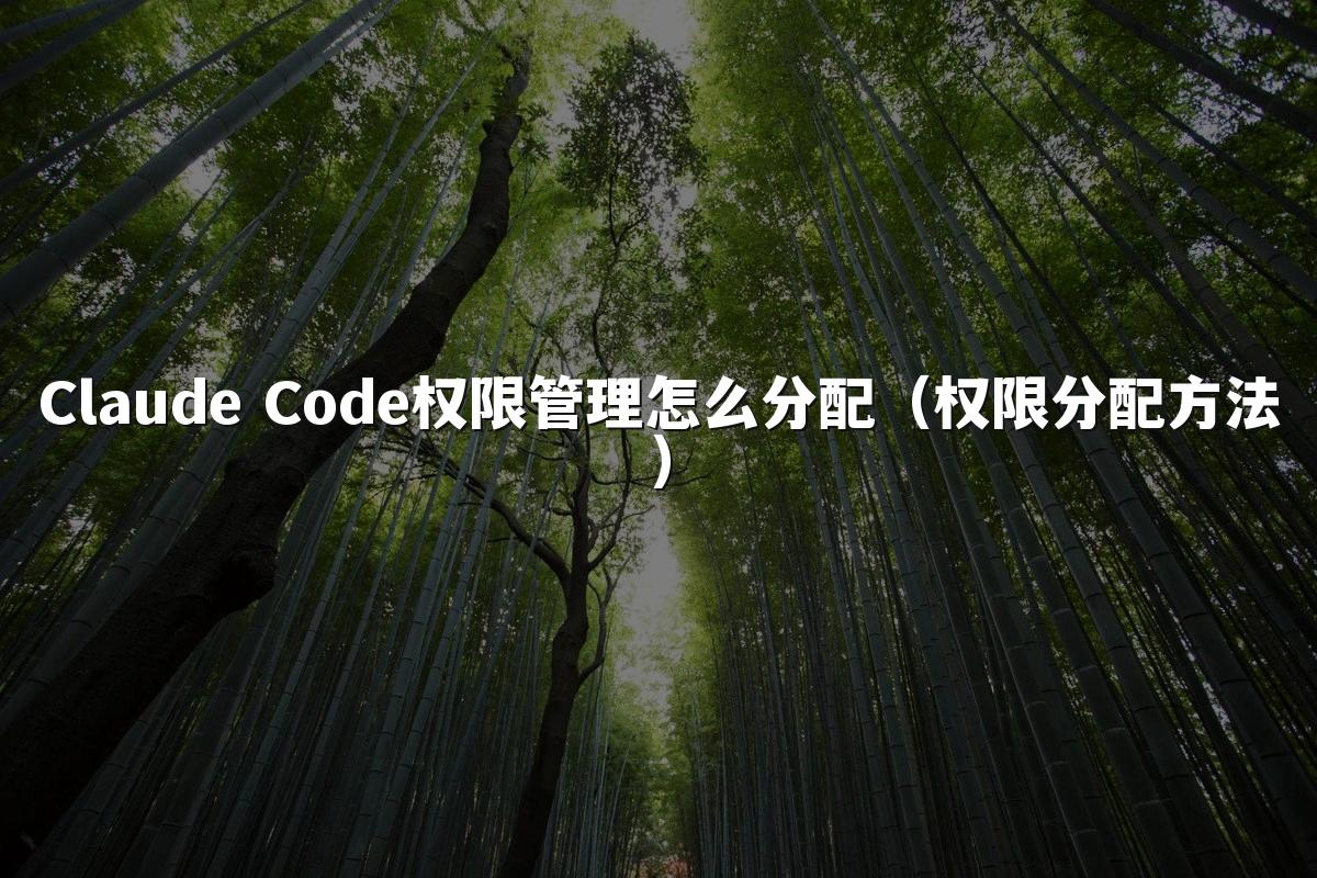Claude Code权限管理怎么分配(权限分配方法)