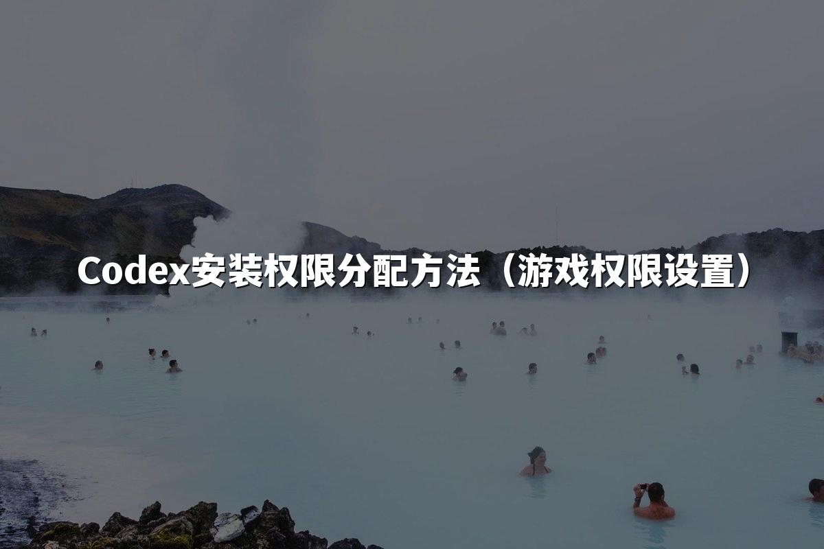Codex安装权限分配方法（游戏权限设置）