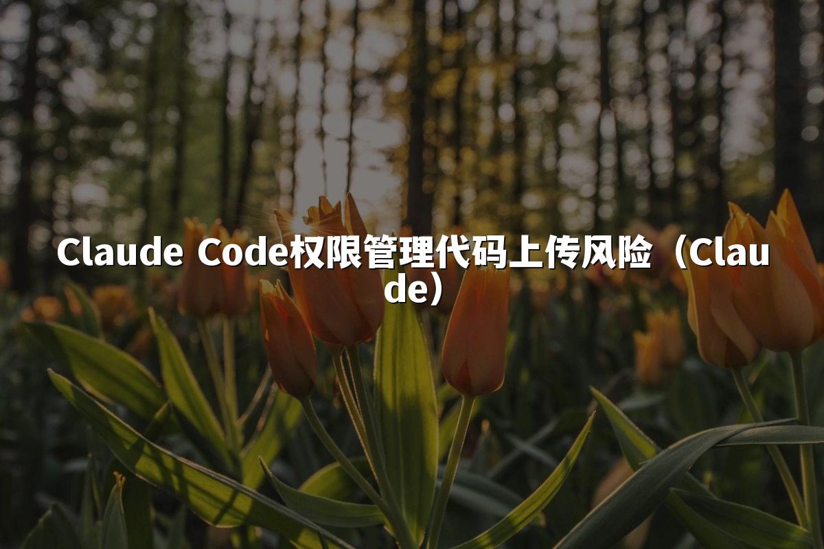 Claude Code权限管理代码上传风险（Claude）