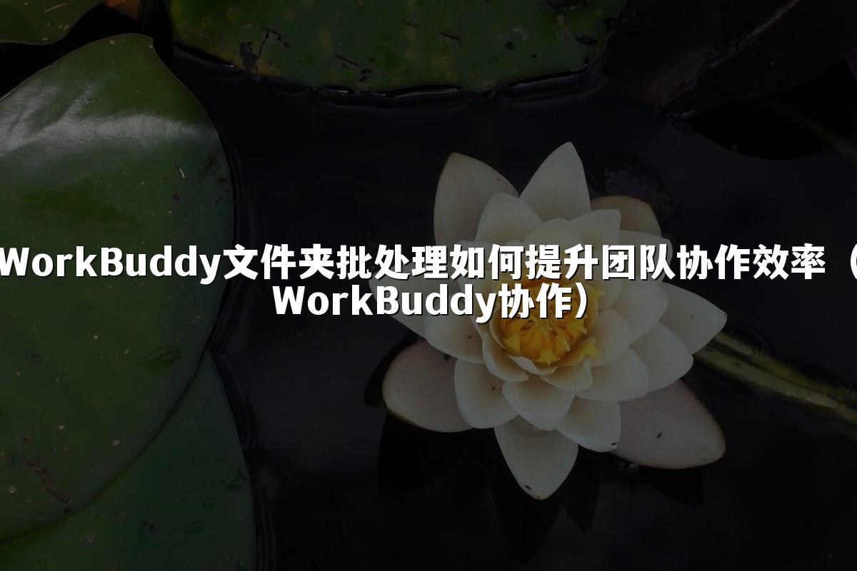 WorkBuddy文件夹批处理如何提升团队协作效率（WorkBuddy协作）