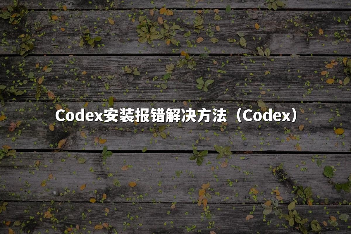Codex安装报错解决方法（Codex）