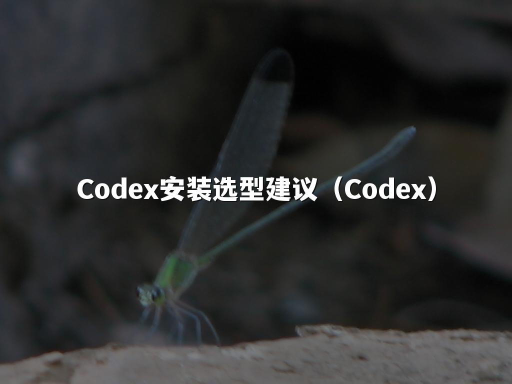 Codex安装选型建议(Codex)