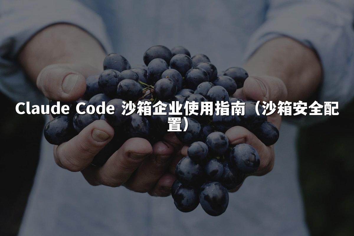 Claude Code 沙箱企业使用指南（沙箱安全配置）