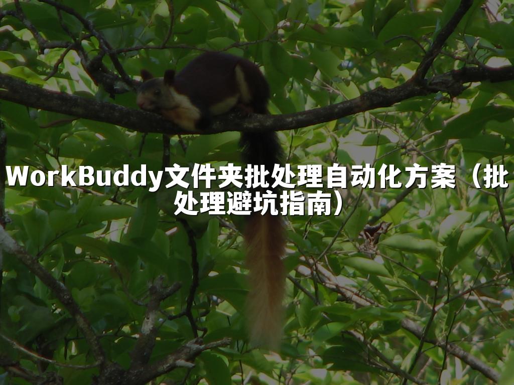 WorkBuddy文件夹批处理自动化方案(批处理避坑指南)