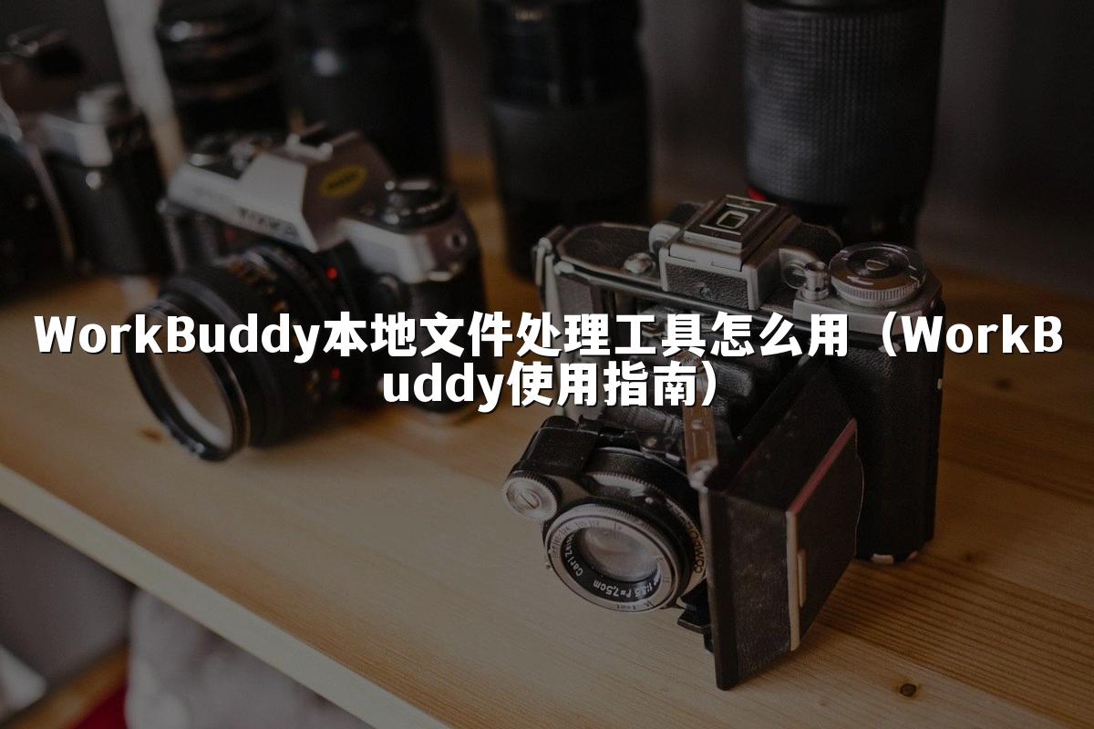 WorkBuddy本地文件处理工具怎么用(WorkBuddy使用指南)