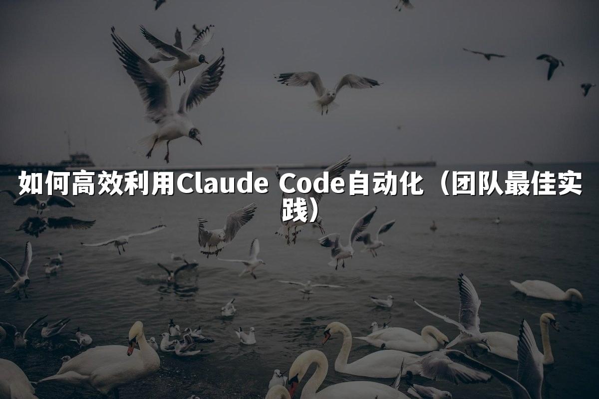 如何高效利用Claude Code自动化(团队最佳实践)
