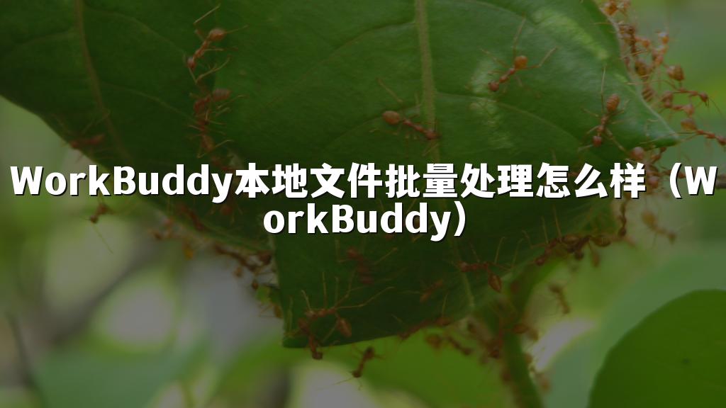 WorkBuddy本地文件批量处理怎么样(WorkBuddy)