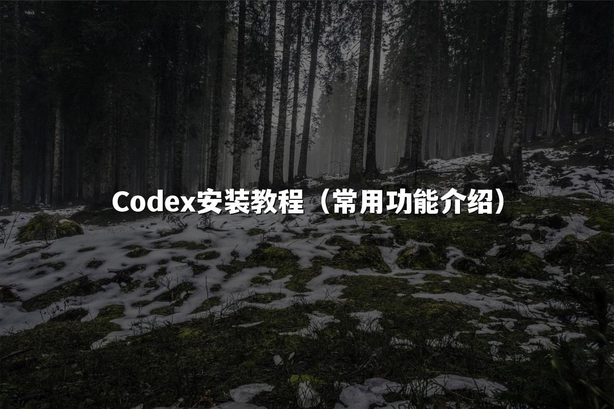 Codex安装教程（常用功能介绍）