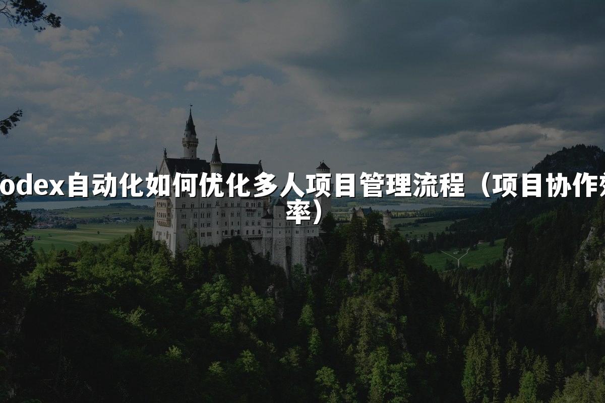 Codex自动化如何优化多人项目管理流程(项目协作效率)