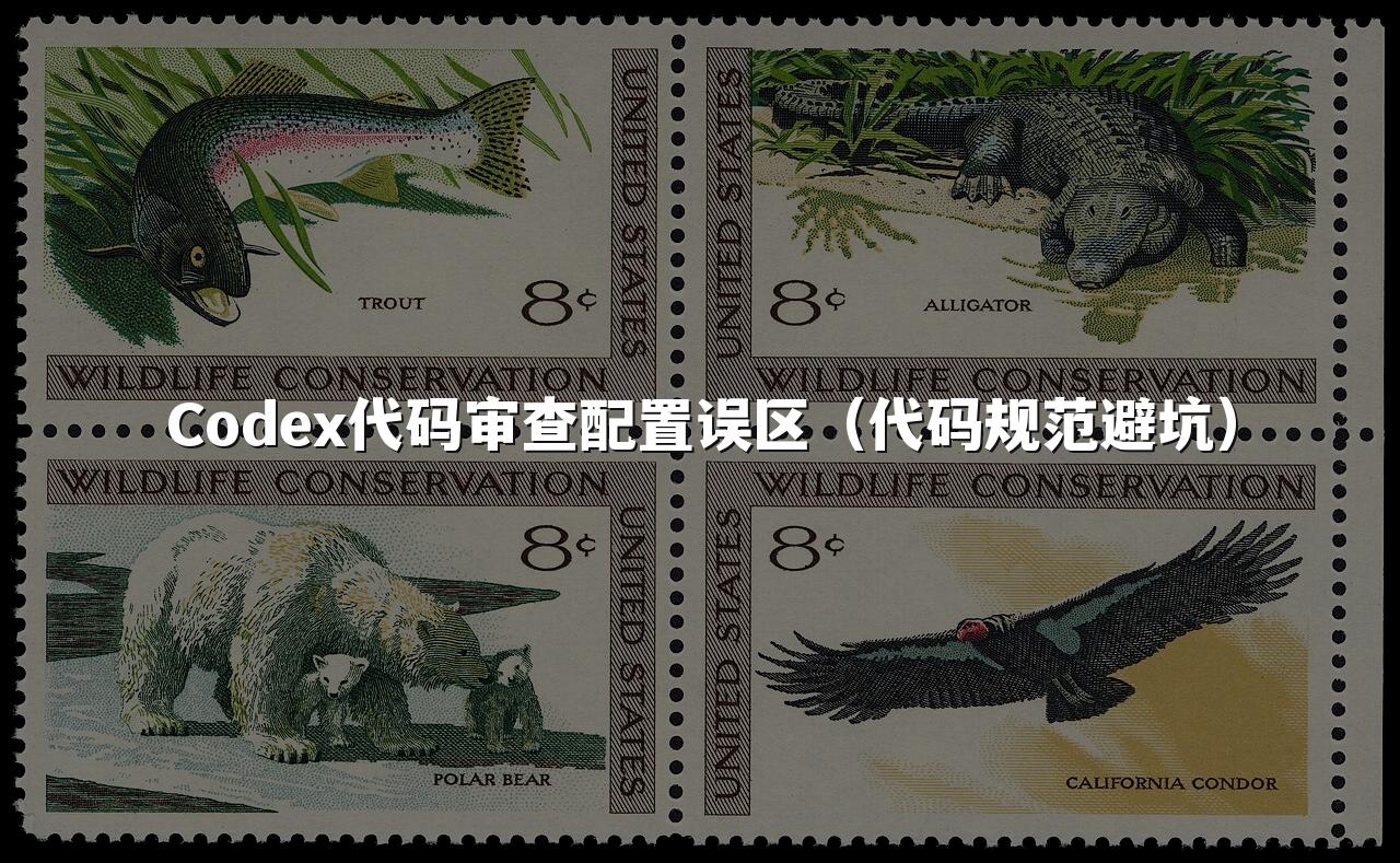 Codex代码审查配置误区（代码规范避坑）