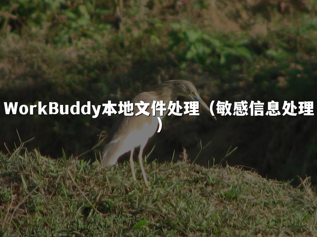 WorkBuddy本地文件处理(敏感信息处理)