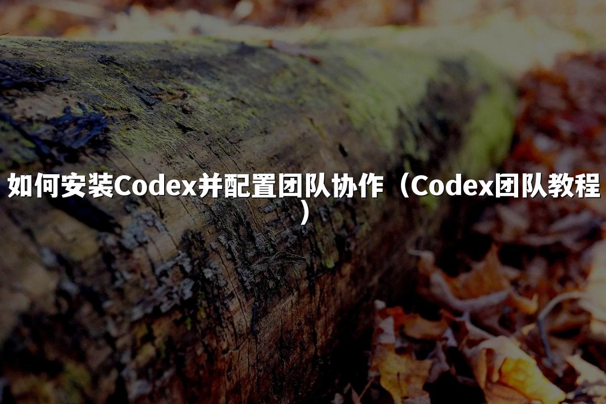 如何安装Codex并配置团队协作(Codex团队教程)
