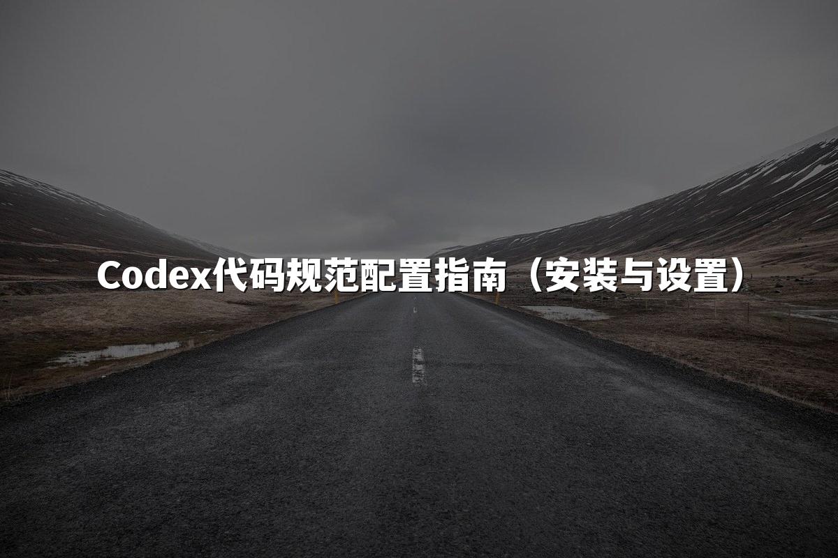 Codex代码规范配置指南（安装与设置）