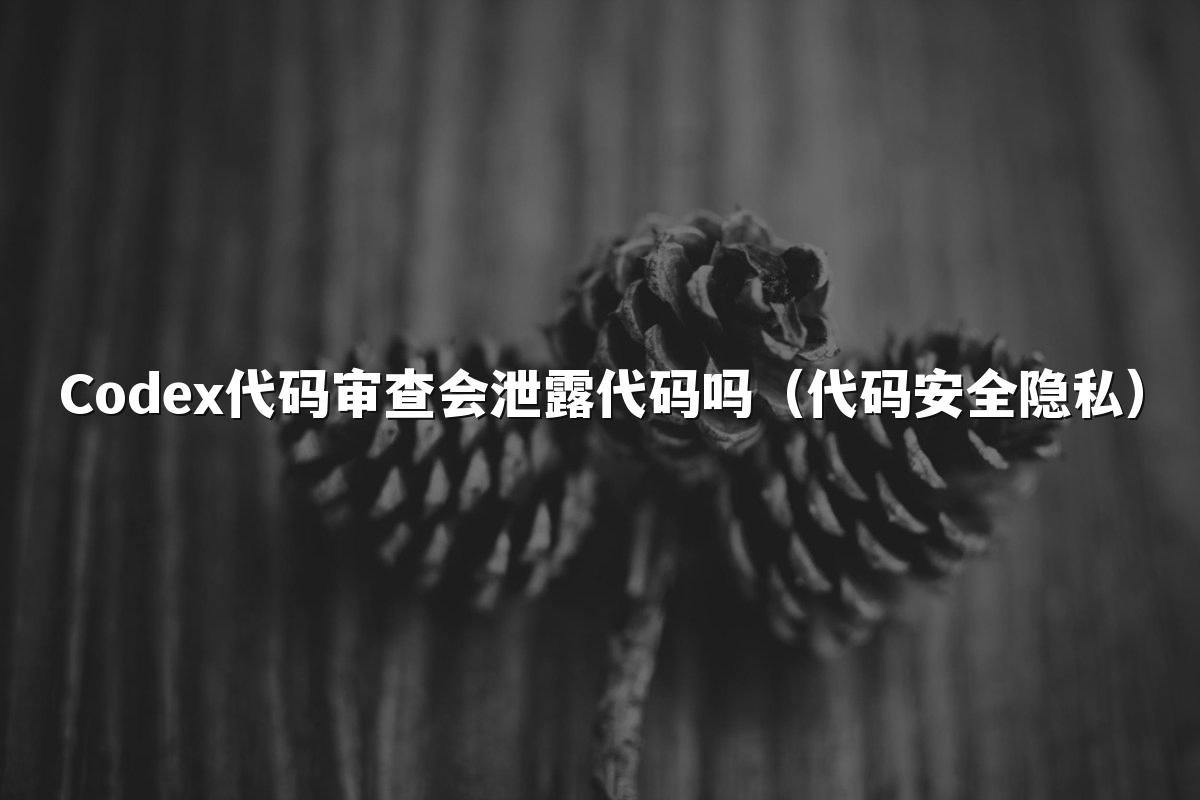 Codex代码审查会泄露代码吗(代码安全隐私)