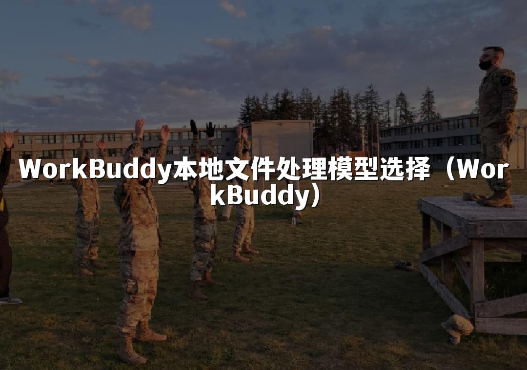 WorkBuddy本地文件处理模型选择(WorkBuddy)