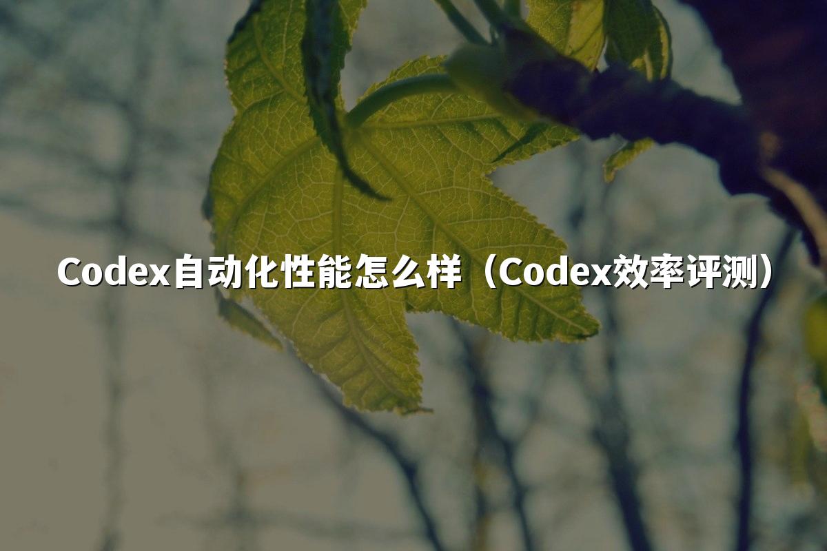 Codex自动化性能怎么样（Codex效率评测）
