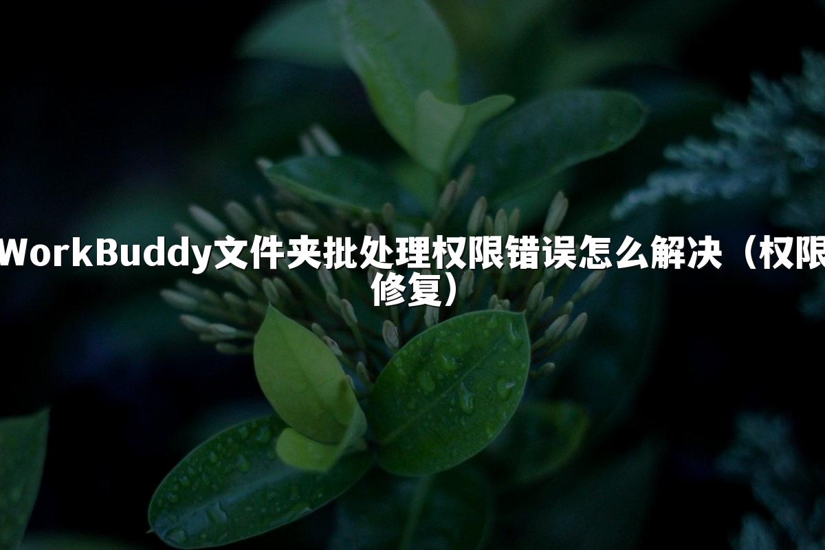 WorkBuddy文件夹批处理权限错误怎么解决(权限修复)