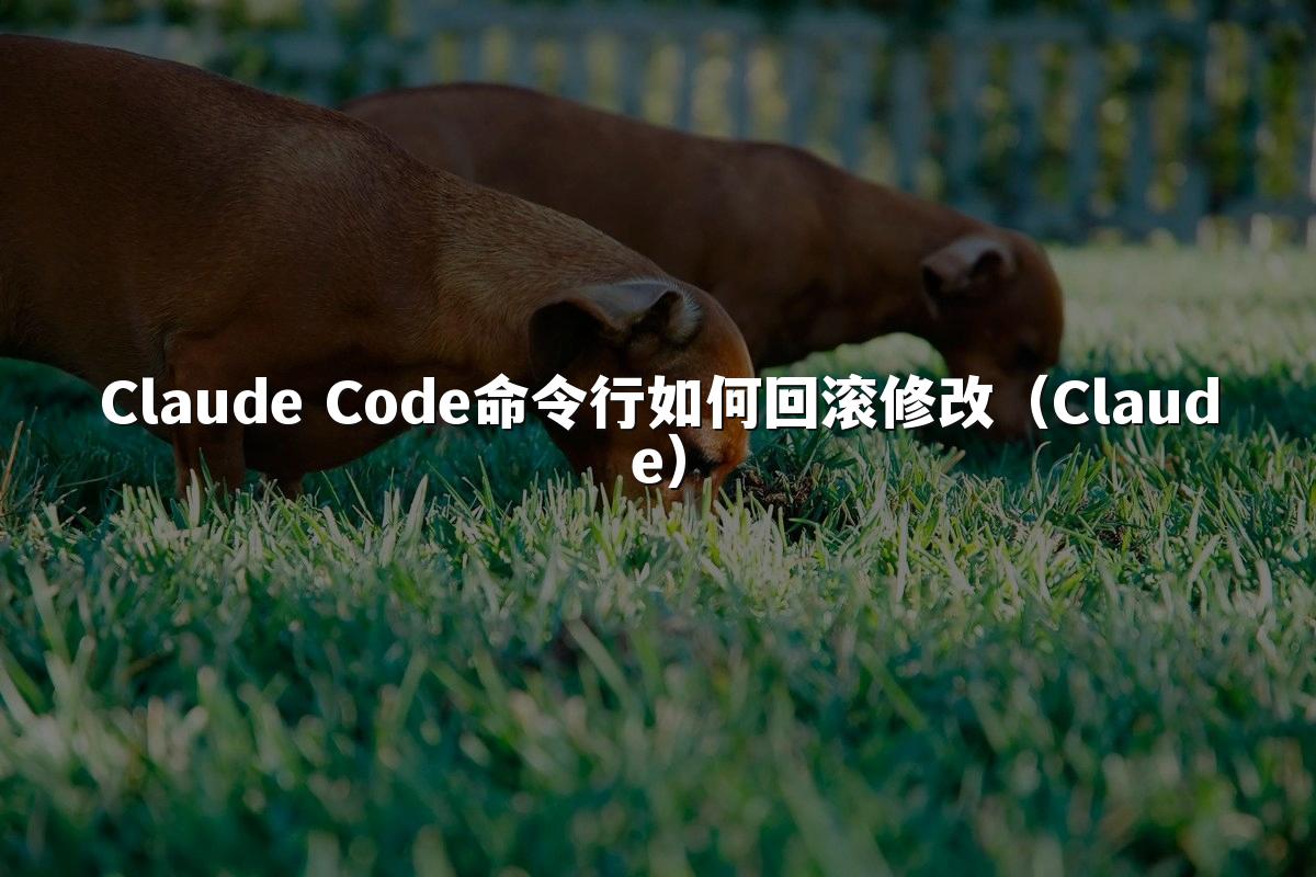 Claude Code命令行如何回滚修改（Claude）