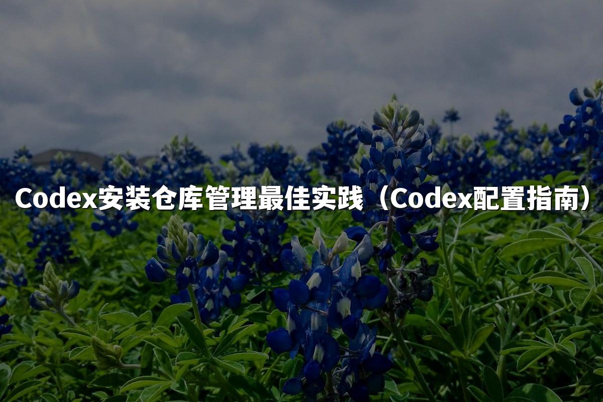 Codex安装仓库管理最佳实践(Codex配置指南)