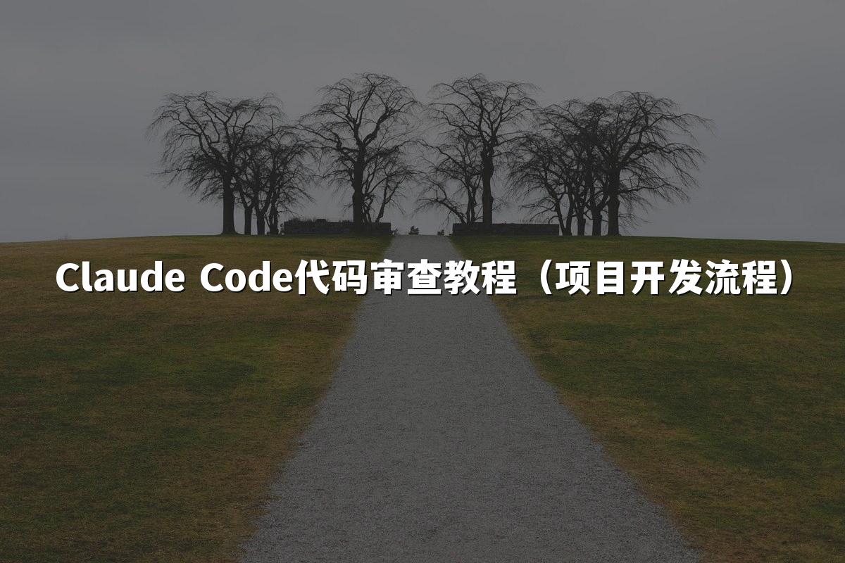 Claude Code代码审查教程（项目开发流程）