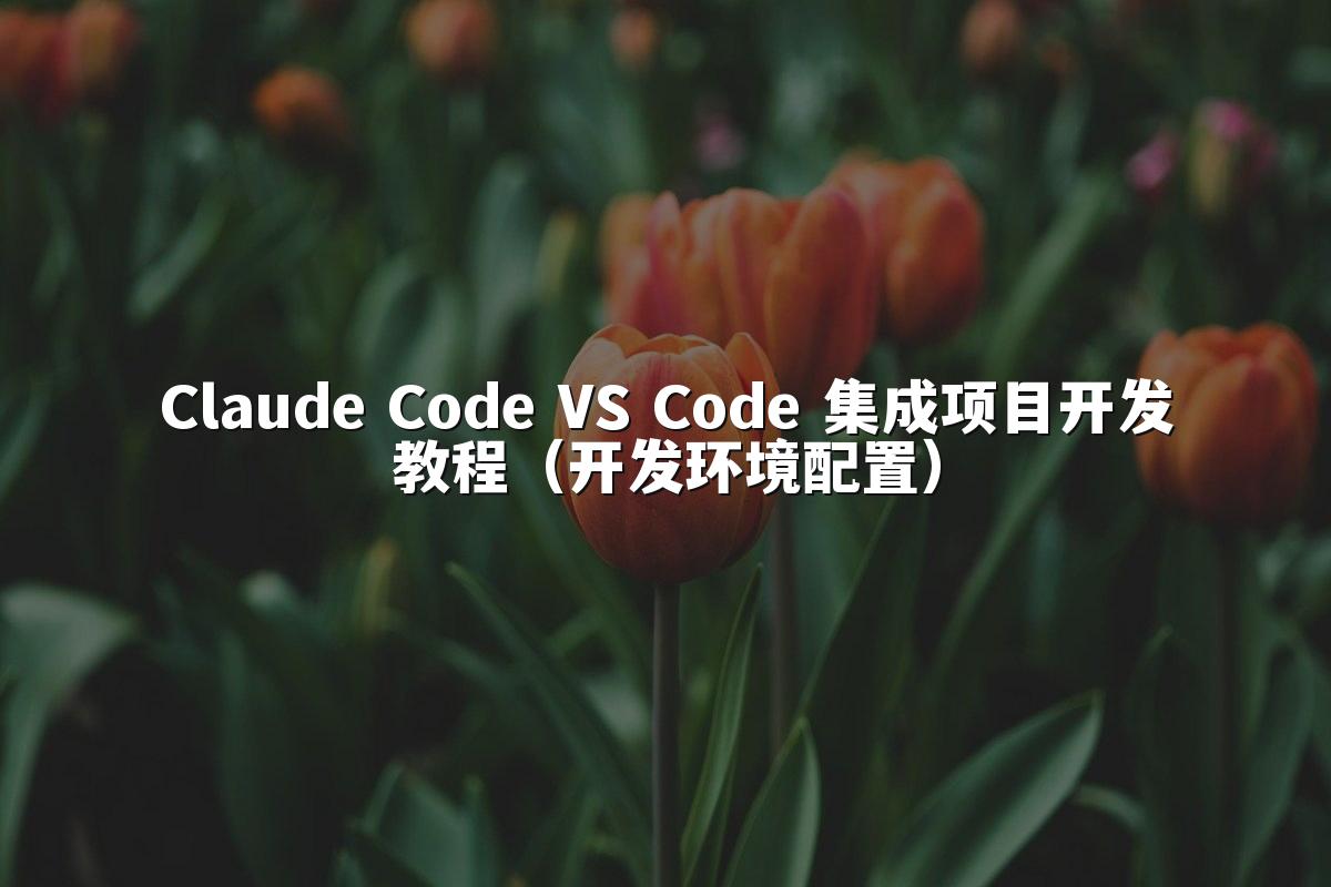 Claude Code VS Code 集成项目开发教程（开发环境配置）