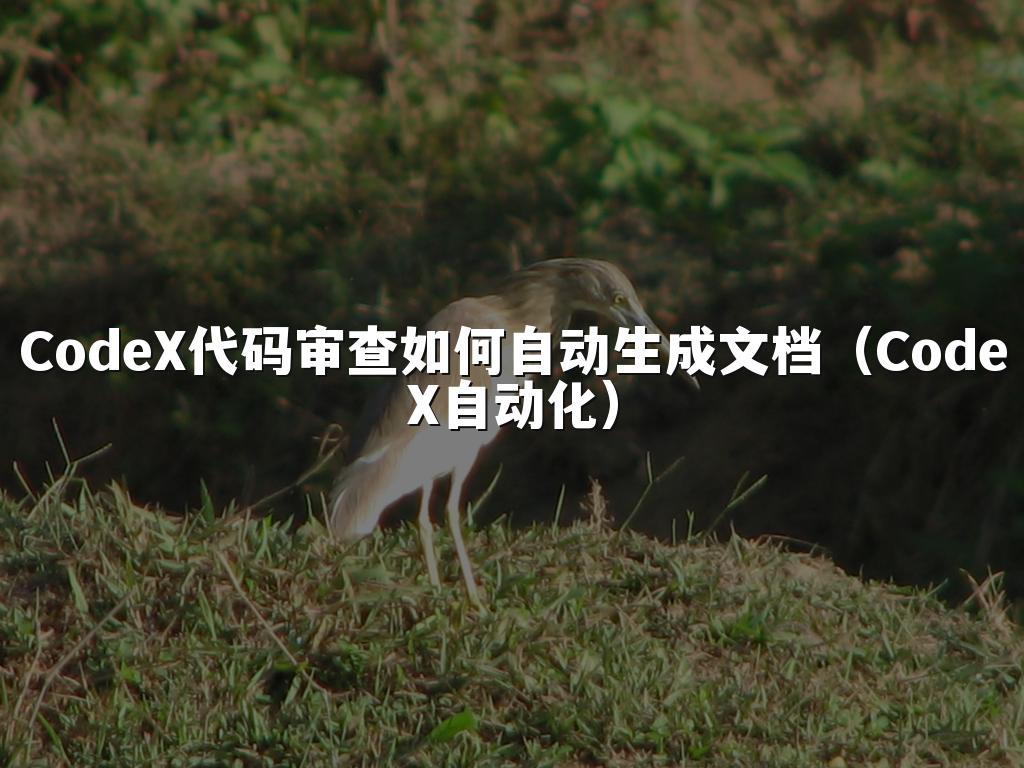 CodeX代码审查如何自动生成文档(CodeX自动化)