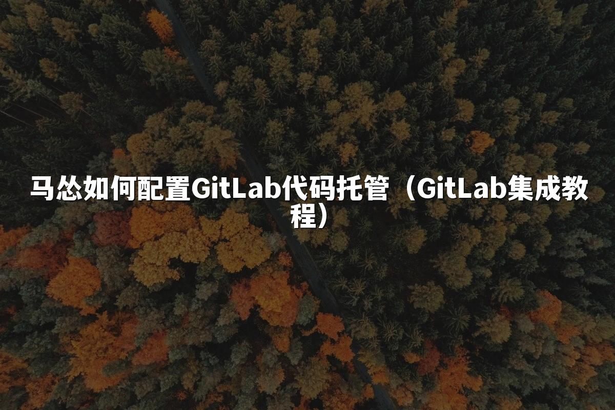 马怂如何配置GitLab代码托管(GitLab集成教程)