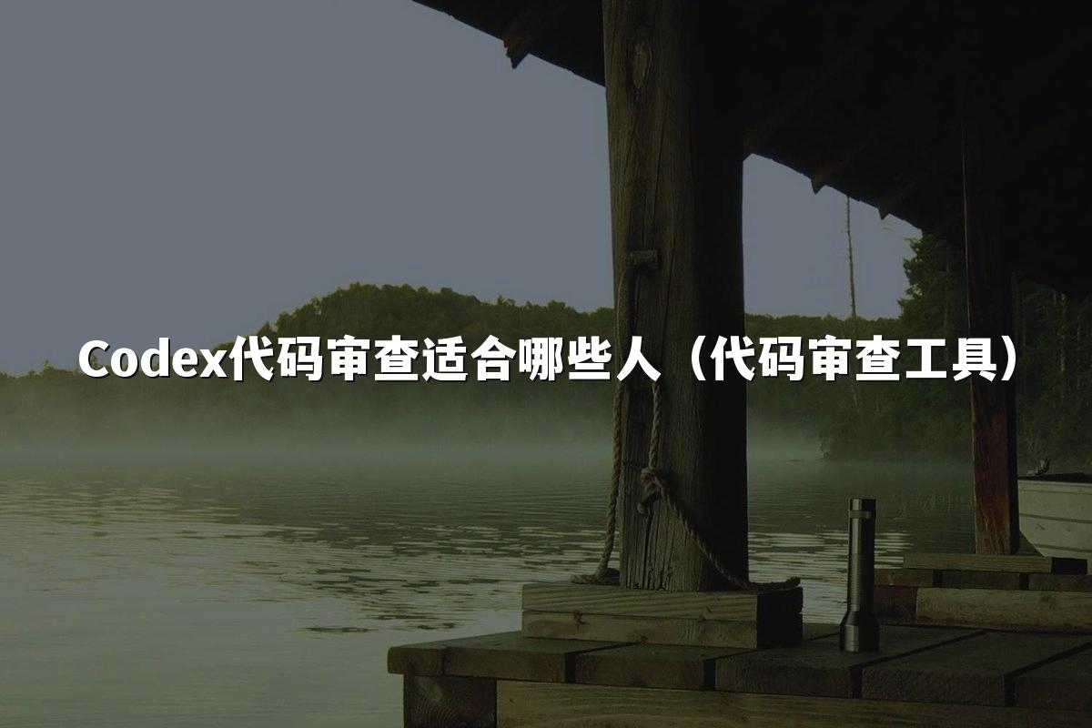 Codex代码审查适合哪些人(代码审查工具)