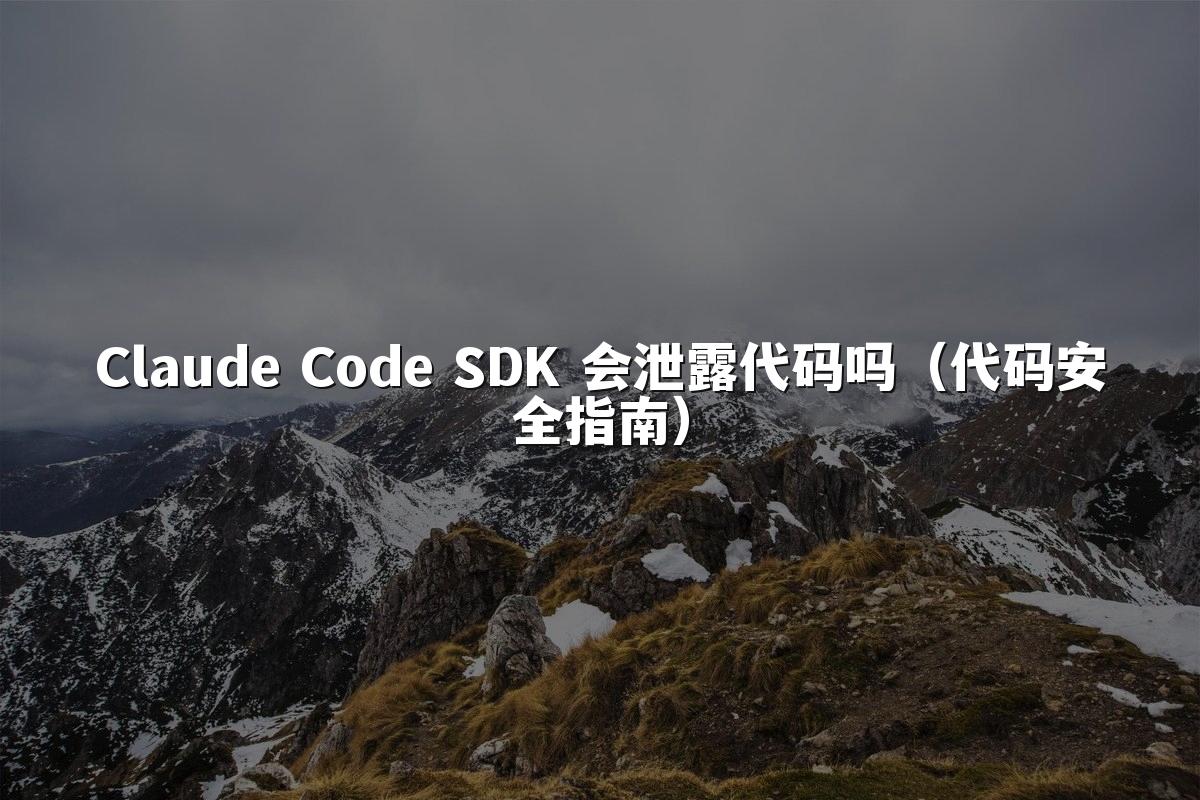 Claude Code SDK 会泄露代码吗(代码安全指南)