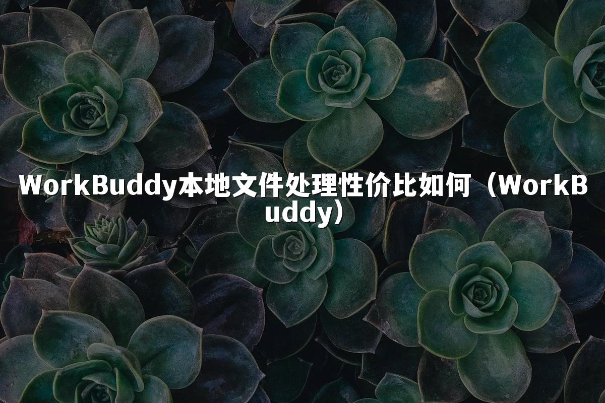 WorkBuddy本地文件处理性价比如何(WorkBuddy)