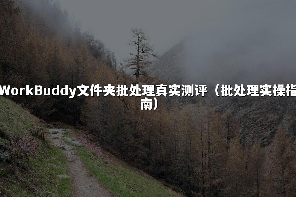 WorkBuddy文件夹批处理真实测评(批处理实操指南)