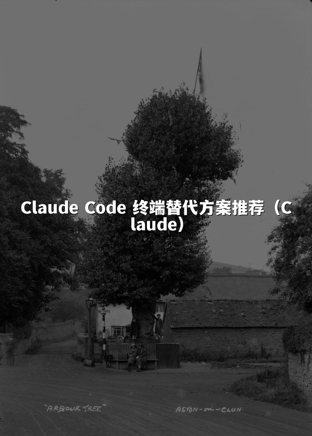 Claude Code 终端替代方案推荐(Claude)