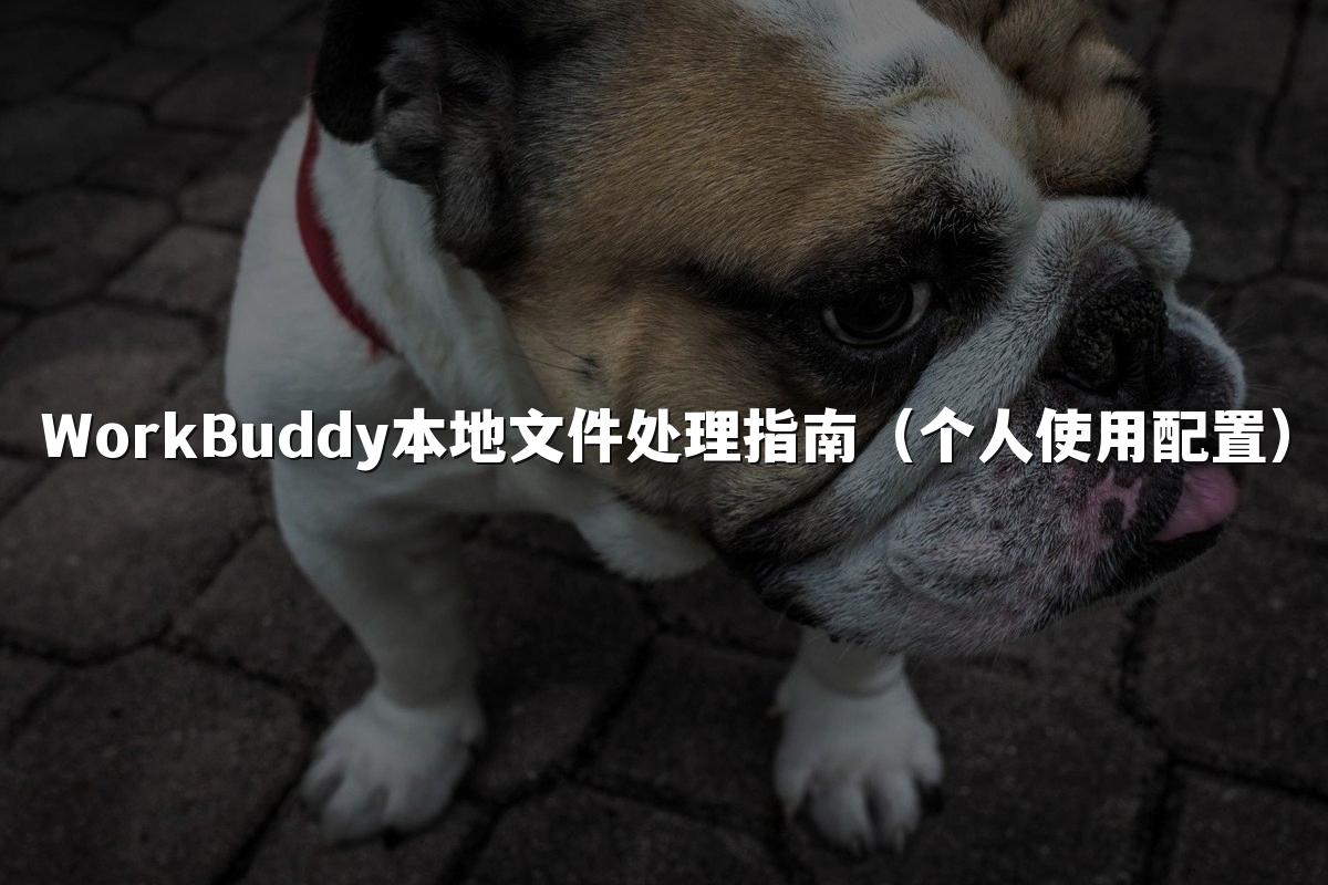 WorkBuddy本地文件处理指南(个人使用配置)