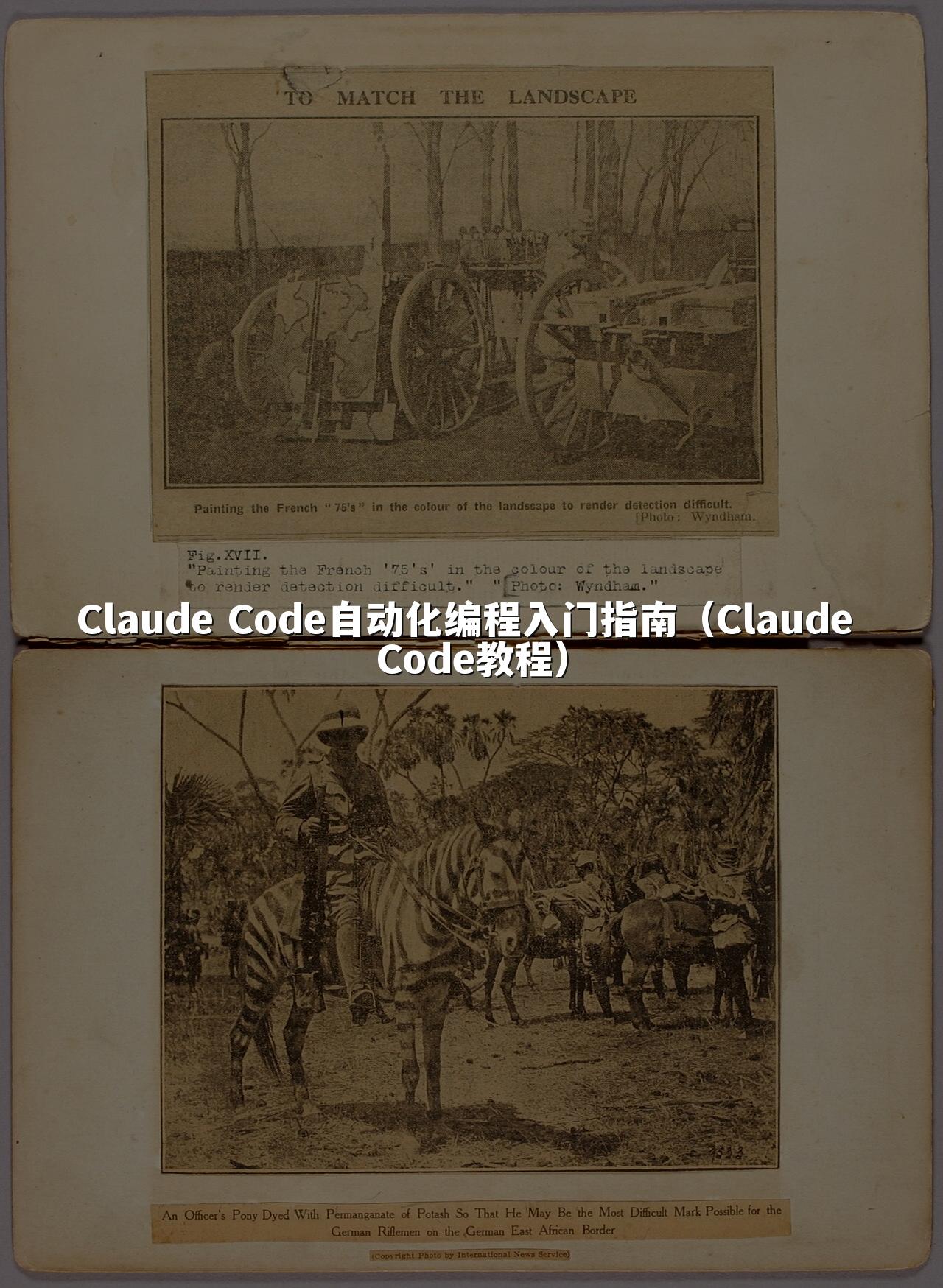 Claude Code自动化编程入门指南（Claude Code教程）