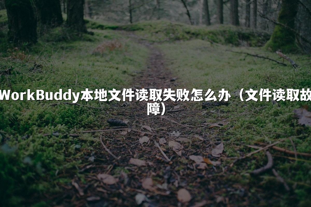 WorkBuddy本地文件读取失败怎么办(文件读取故障)