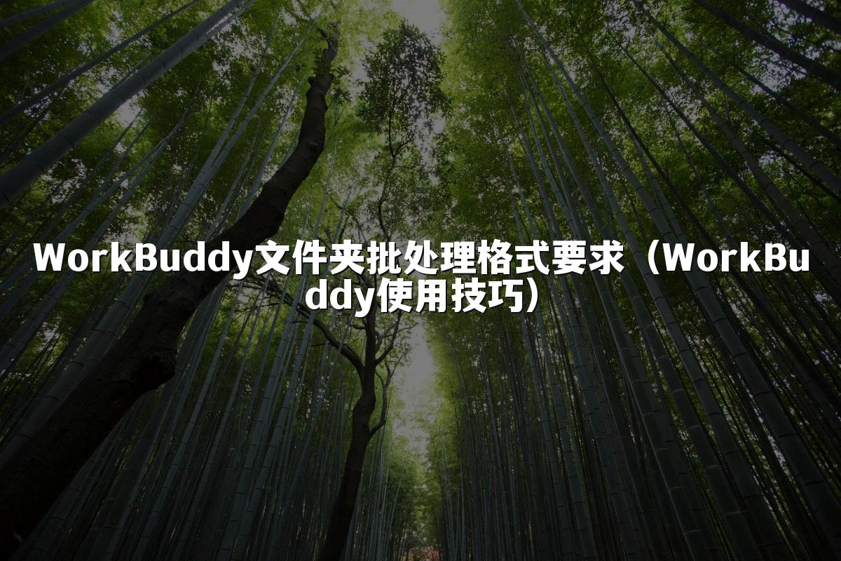 WorkBuddy文件夹批处理格式要求（WorkBuddy使用技巧）