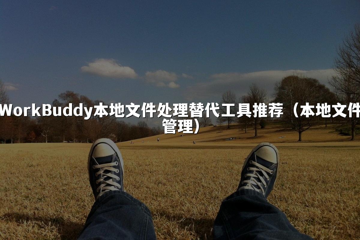 WorkBuddy本地文件处理替代工具推荐(本地文件管理)