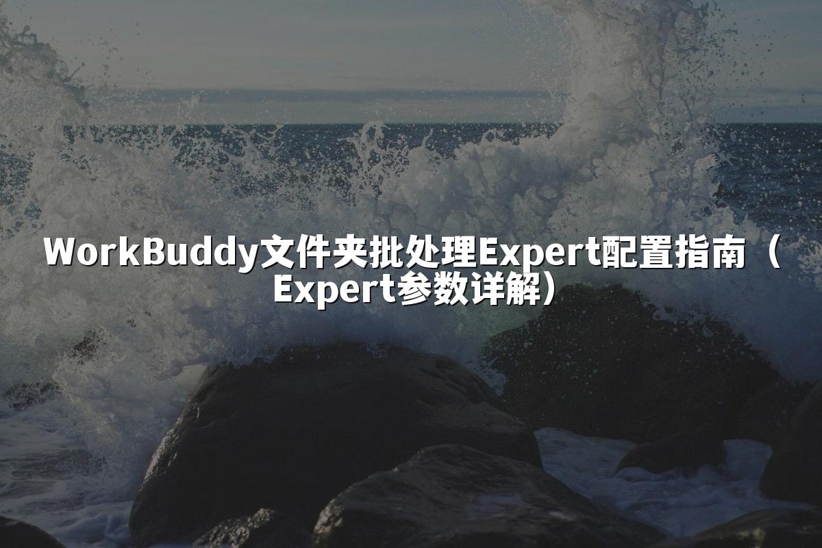 WorkBuddy文件夹批处理Expert配置指南(Expert参数详解)
